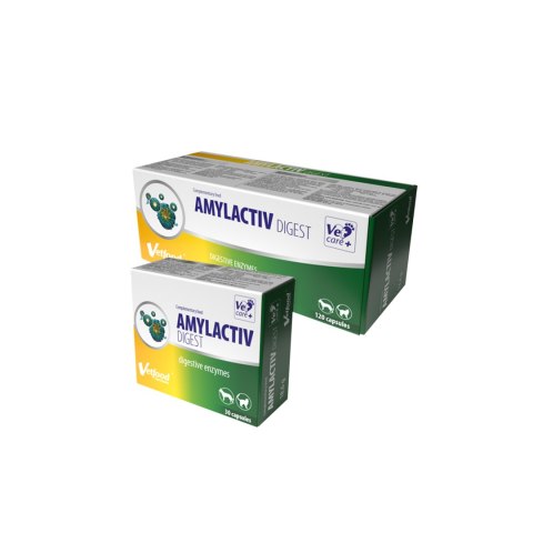 Amylactiv Digest Vetfood
