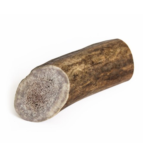 Antler dog chew/ gryzak z poroża jelenia Recosnack Antler dog chew/ gryzak z poroża jelenia Recosnack