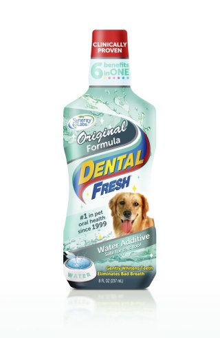 Dental Fresh SynergyLabs