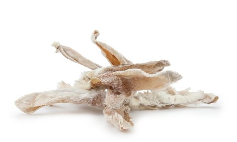 Królik uszy z futrem 100% naturalne, 80g Królik uszy z futrem 100% naturalne, 80g