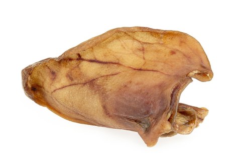 Wieprzowe ucho naturalne 100% 1szt. Wieprzowe ucho naturalne 100% 1szt.
